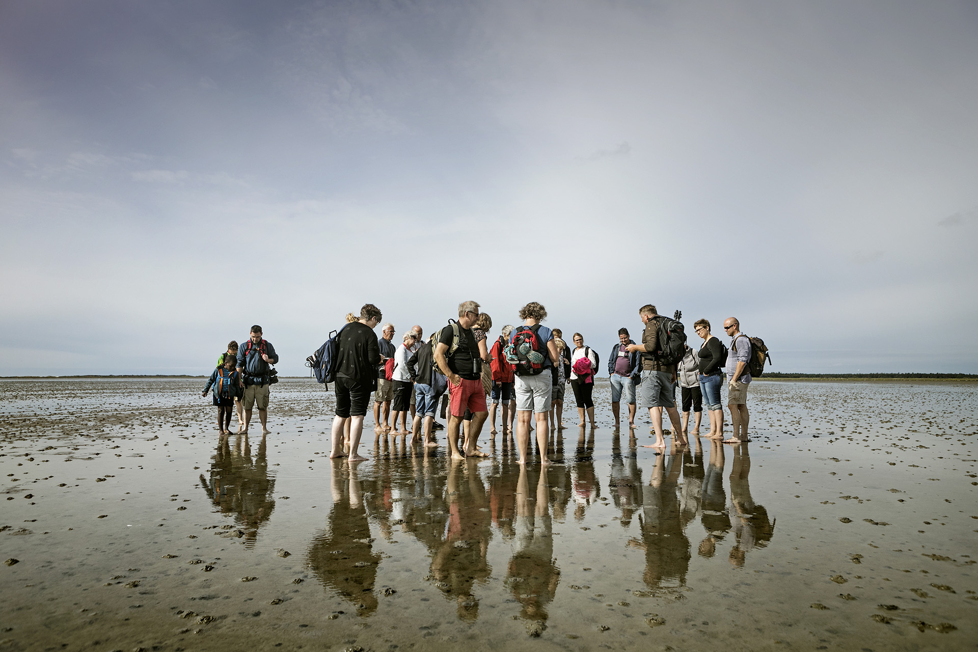 Welcome to the Wadden Sea National Park of Denmark - National Park Vadehavet